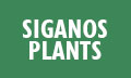 Λογότυπο ΣΙΓΑΝΟΣ ΝΙΚΟΛΑΟΣ - SIGANOS PLANTS