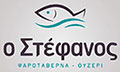 Logo STEFANOS