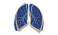 Logo TOMOS IOANNIS Dr