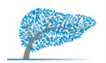 Logo TOOULIAS ANDREAS MD, MSc, PhDc, FICS, FSLS