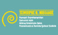 Logo TSIMPIRIS TH. NIKOLAOS