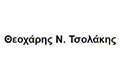 Logo TSOLAKIS N. THEOCHARIS
