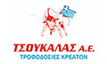 Logo TSOUKALAS