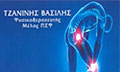 Logo TZANINIS VASILIS