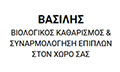 Logo VASILIS