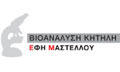 Logo VIOANALYSI KITILI - MASTELLOU EFI