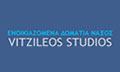 Λογότυπο VITZILEOS STUDIOS