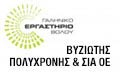 Λογότυπο ΒΥΖΙΩΤΗΣ ΠΟΛΥΧΡΟΝΗΣ & ΣΙΑ ΟΕ
