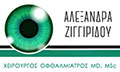 Logo ZIGGIRIDOU ALEXANDRA