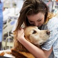 Θεραπεία μέσω ζώων (Pet Therapy)