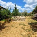 Πώληση Οικοπέδου στον Άγιο Μάμα Χαλκιδικής