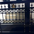 Aluminum fence door