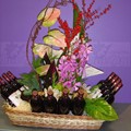 Arrangement with 12 bottles of wine