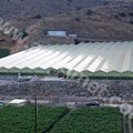 Αμφίρρικτο πολλαπλό θερμοκήπιο askotherm 5000