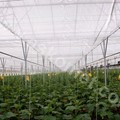 Σύστημα κουρτίνας σκίασης εξοικονόμησης ενέργειας
