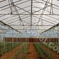 Εσωτερικός χώρος θερμοκηπίου askotherm 6400