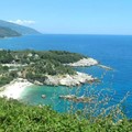 Πώληση εξοχικής κατοικίας στο Πήλιο