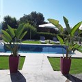 Villa for rent 90 sq.m. Arkadi, Pigi Rethymno