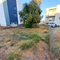 Plot 204 sq.m. Rethymno orchards for sale