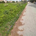 Plot for sale 960 sq.m. Arkadi, Adelianos Kampos Rethymno