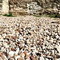 Pebble Floor Texture