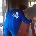 Euro Diacheirisi - S-tate Management Systems, Buildings cleaning