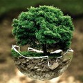 Eco, η Ευρωπάκ & το περιβάλλον