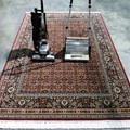 Carpet cleaner