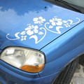Διακοσμητικά αυτοκόλλητα αυτοκίνητου - Car Tattoo