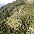 Οικογενειακό ακίνητο 38.000 τ.μ., στην περιοχή Καΐκια της Γλώσσας της Σκοπέλου προς πώληση