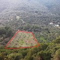 Οικόπεδο στην περιοχή Γλυστέρι Σκοπέλου προς πώληση