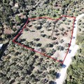 Οικόπεδο συνολικής επιφάνειας 5054,66 τμ. και ανατολικού προσανατολισμού, με ομαλή κλίση στο Γλυστέρι προς πώληση