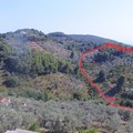 Πώληση οικοπέδου συνολικής επιφάνειας 30.000 τ.μ. στο Βρωμονέρι Πευκίας
