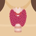 Examinations of the thyroid gland