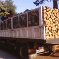 Δωρεάν Μεταφορά Ξυλείας στο Χώρο σας
