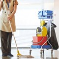 Cleaners