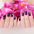 Biosculpture