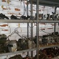 Μονάδες ABS