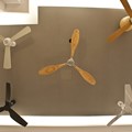 Ceiling fans