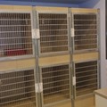 Cat treatment space