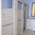 Dog treatment space