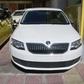 Octavia 7