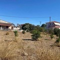Οικόπεδο προς πώληση, Σικυώνα, Κάτω Διμηνιό