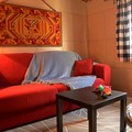 Junior suite for dogs