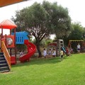 Central garden