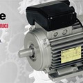 Single-phase motor