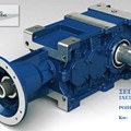 Angle Geared Motor