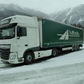 Mitrelis International Transport