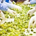 ISO 22000 - Σύστημα Διαχείρισης Ασφάλειας Τροφίμων