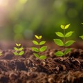 ISO 14001 - Σύστημα Περιβαλλοντικής Διαχείρισης